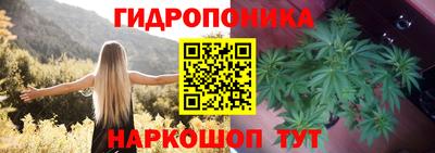 трава Аргун