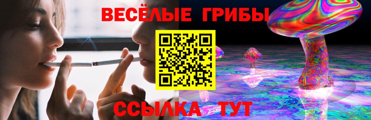 Владимир  Псилоцибиновые грибы MAGIC MUSHROOMS  Вход с VPN 